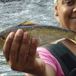 <em>Live</em> Fish Found in Bronx River